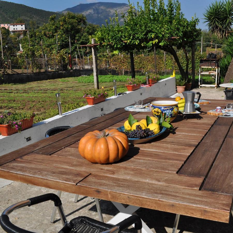 Contrada Vigna Bed & Breakfast Vietri Luaran gambar